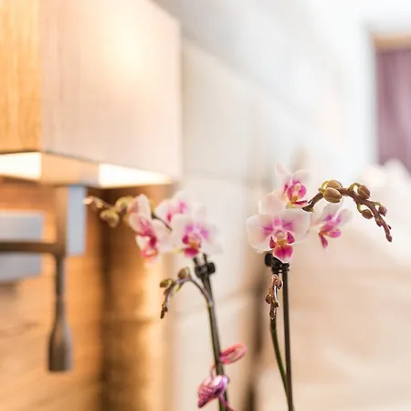 Ellmauer Hof Hotel 3*